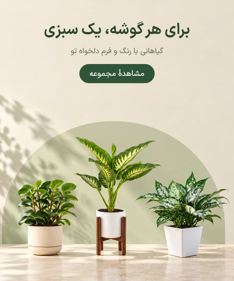 بنر
